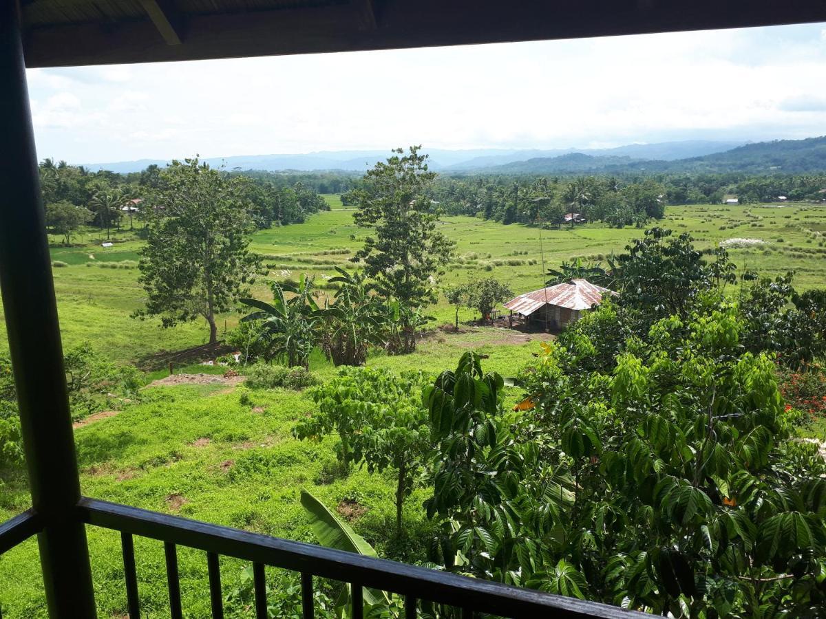 Villa Del Carmen Haven Bohol Eksteriør billede